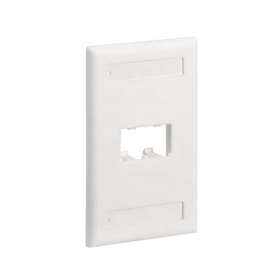 [CFPL2WHY] Placa de Pared Vertical Clásica, Salida Para 2 Puertos Mini-Com, Con Espacios Para Etiquetas, Color Blanco