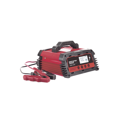 [CHR-250] Cargador de Baterías / 12 o 24 Vcc / hasta 250 Ah / 25 A / Display LCD 